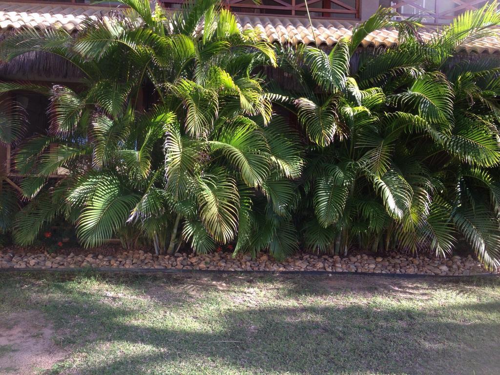 Eco Flecheiras Residence Ngoại thất bức ảnh